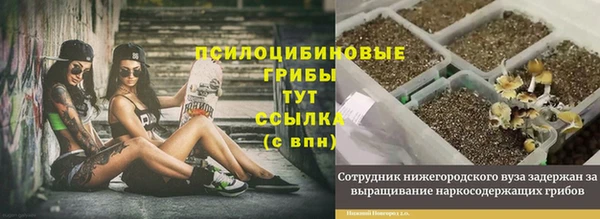 соль курить ск Кинешма